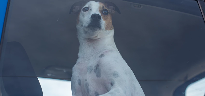 Car Lockout Solutions in Boyes Hot Springs, California